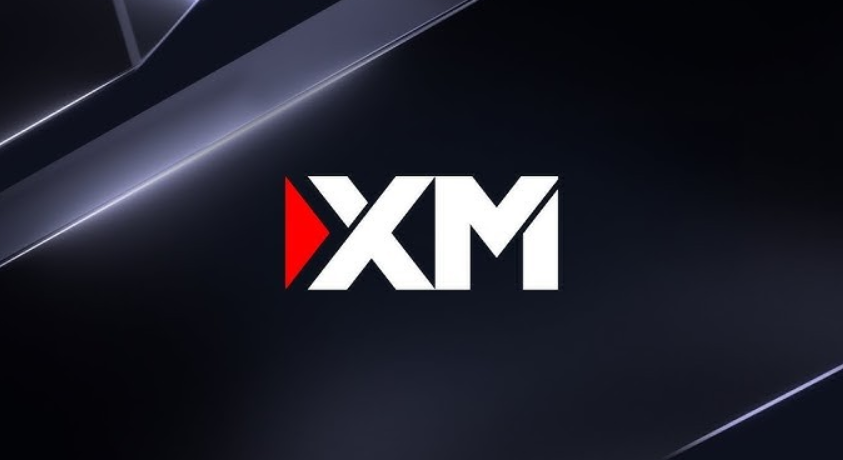 أفضل أنواع الحسابات في شركة XM: دليل شامل لاختيار الحساب المناسب للتداول في 2026
